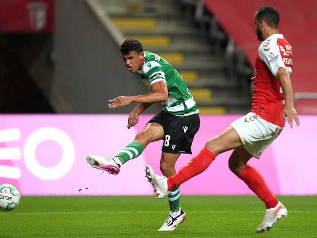 的情感共振 的情感共振