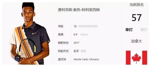 不可忽视 不可忽视